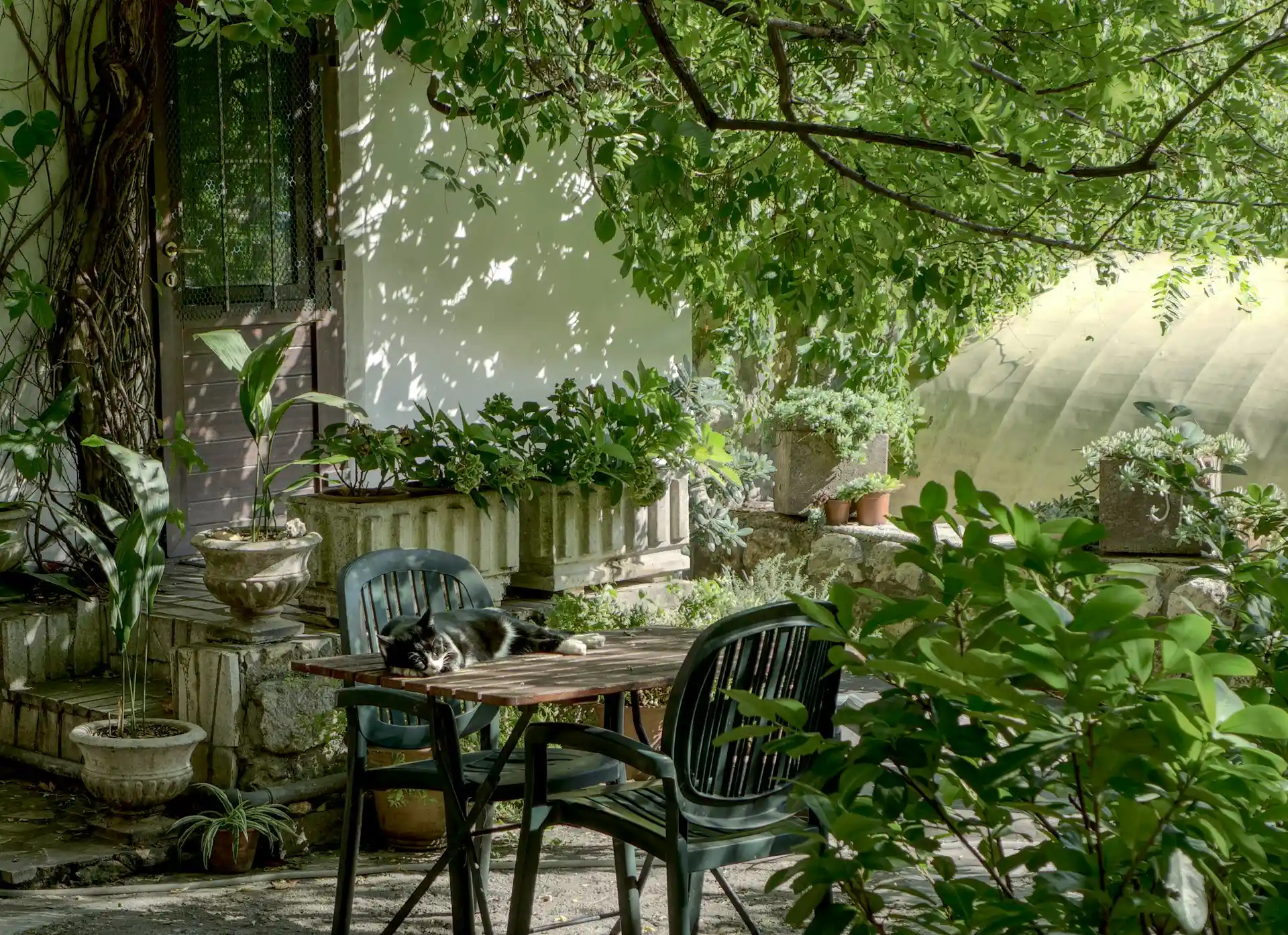 Como Puedes Mejorar tu Jardin